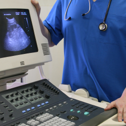 Diagnostic Medical Sonographers