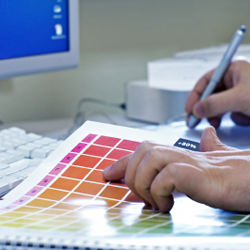 Graphic Designers